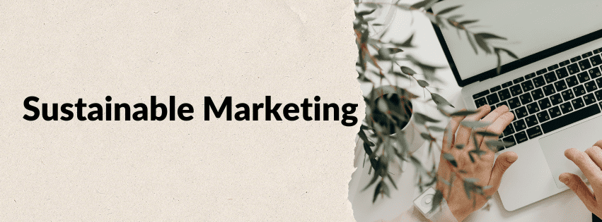 Top Sustainable Digital Marketing Trends in 2024 - Laptop with Plants